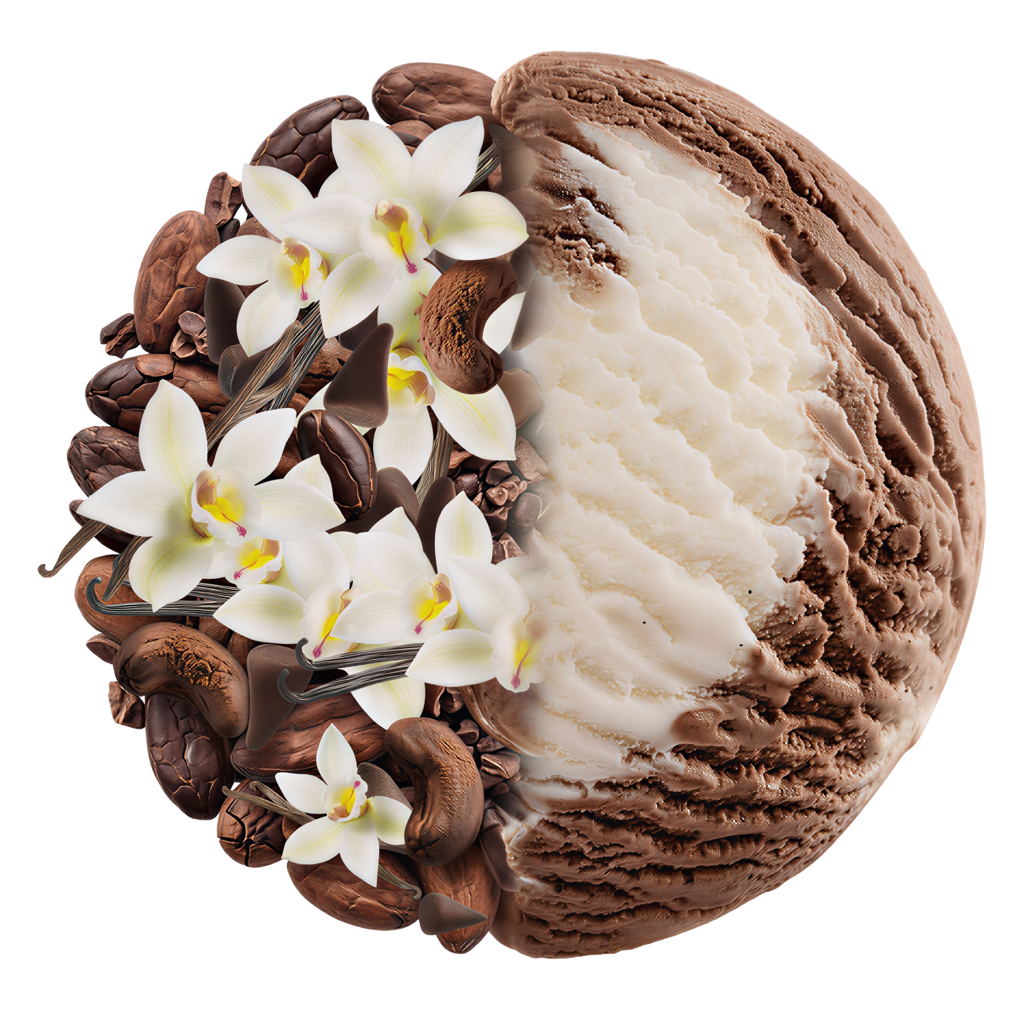 Choco Vanilla Ice Cream